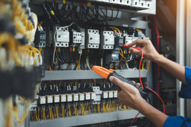 Best Electric Panel Repair  in Braselton, GA